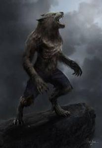 The werewolf The werewolf