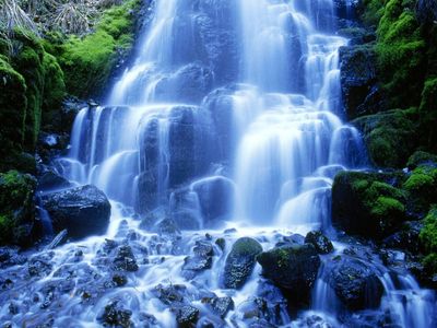Insanity Falls Insanity Falls