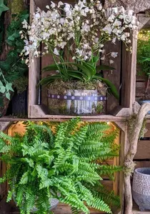 flowrist in london flowrist in london