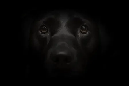 Hidden Secrets Book One