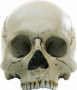 the deaths of the loray family