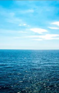 Salt Water Salt Water