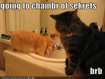 The Harry Potter Characters On A Muggle Chat The Harry Potter Characters On A Muggle Chat