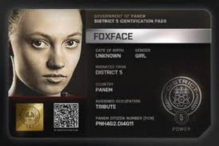 Foxfaces story Foxfaces story