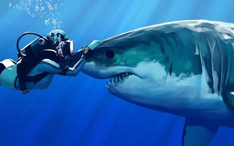 The SHARK-ENGE The SHARK-ENGE