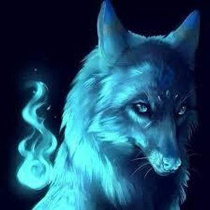How do I get more followers? How do I get more followers?