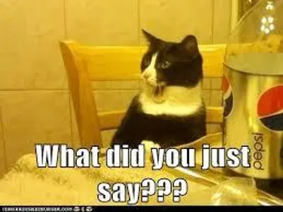 why is technology so important to people? if you know why please tell me in the comments cuz i have no idea why? why is technology so important to people? if you know why please tell me in the comments cuz i have no idea why?
