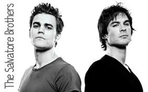 who better Damon Salvatore or Stefan Salvatore? which one is hotter? stefan left and damon is right who better Damon Salvatore or Stefan Salvatore? which one is hotter? stefan left and damon is right