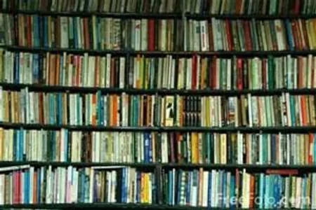 What Is Your Favorite Book? (2)