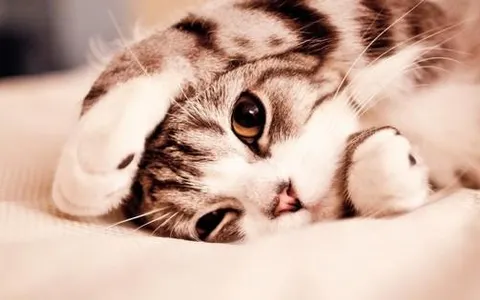 what to do when im bored?