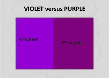 Does or did your art teacher yell at you when you said "purple"? Lol! My art teacher says it alot! I like saying purple.