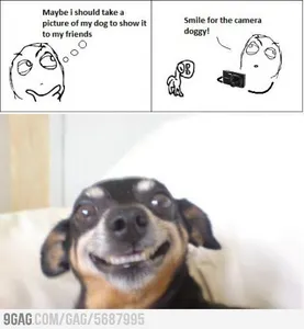 what what would your do if your dog did this? what what would your do if your dog did this?