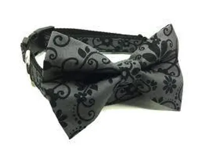 What kind of dog would suit this Bow Tie Collar? I don't know.... What kind of dog would suit this Bow Tie Collar? I don't know....