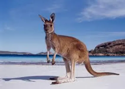Do any of you guys live in Australia? Btw I'm Australian :)