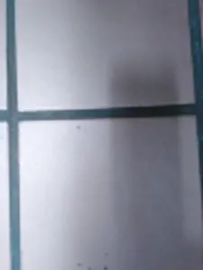 Who all have Minecraft?