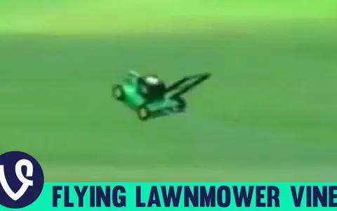 Have you seen this vine?