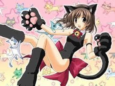 I am thinking of watching a new anime! Any suggestions will be widely considered!!! just finished watching Death Note! At a loss for a new anime!!! I am thinking of watching a new anime! Any suggestions will be widely considered!!! just finished watching Death Note! At a loss for a new anime!!!