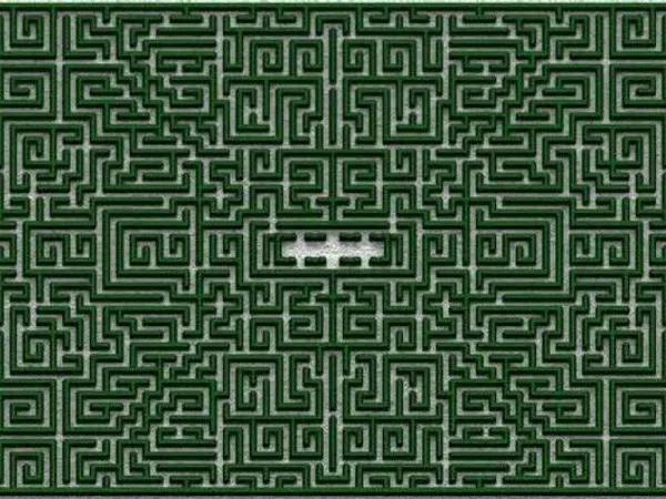 Does Dan like mazes?