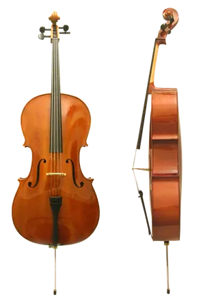 Choose a musical instrument: