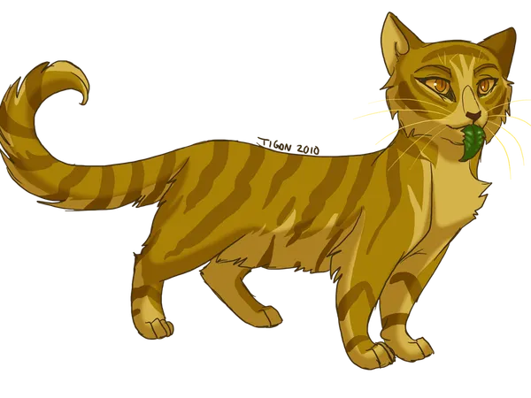 What was the sign that Starclan sent to Mudfur, signifying that Mothwing was the right cat to be Medicine Cat for Starclan?