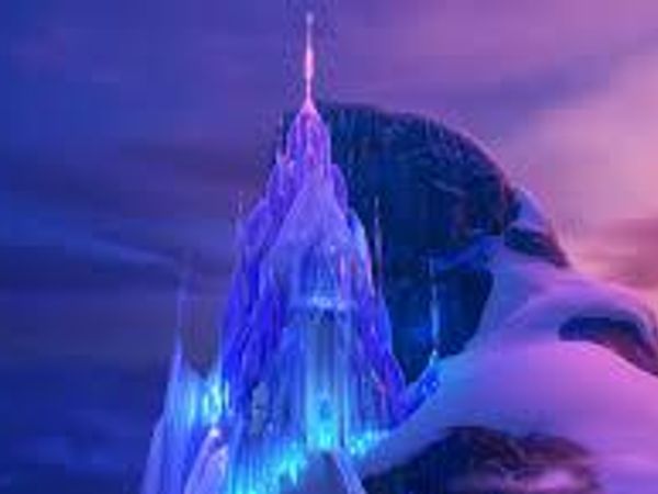 If your town was suddenly covered with ice, you would: