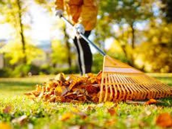 How do you feel about garden tools?