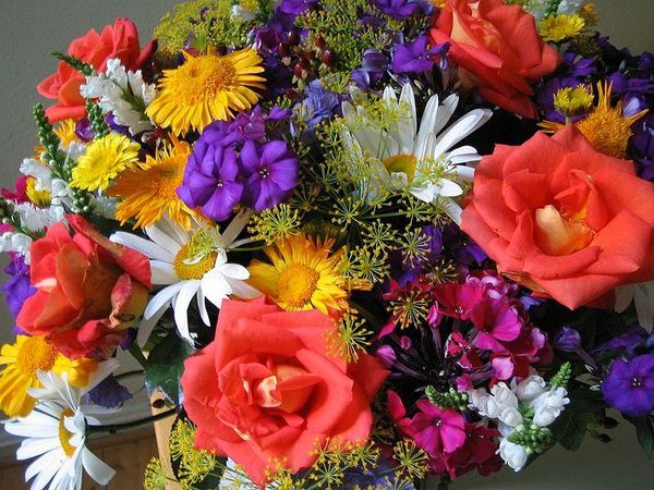 What flower most interests you?