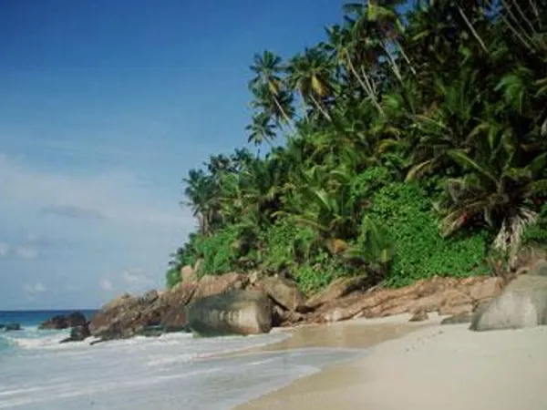 If you were stranded on a desert Island and you could only bring one thing with you, what would it be?