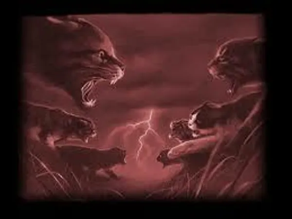 In battle, what would you do?