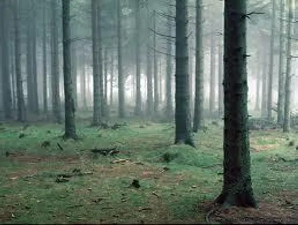 Would surviving in the wild be fun?