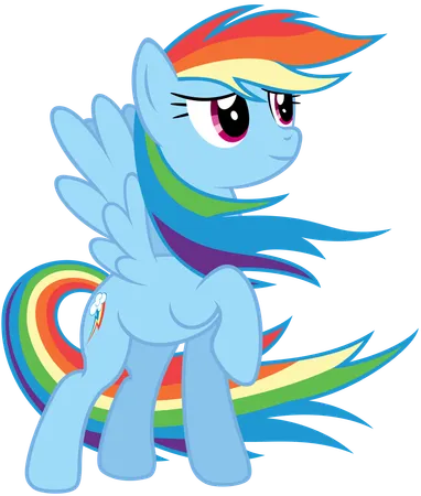 What pet does Rainbow Dash get?