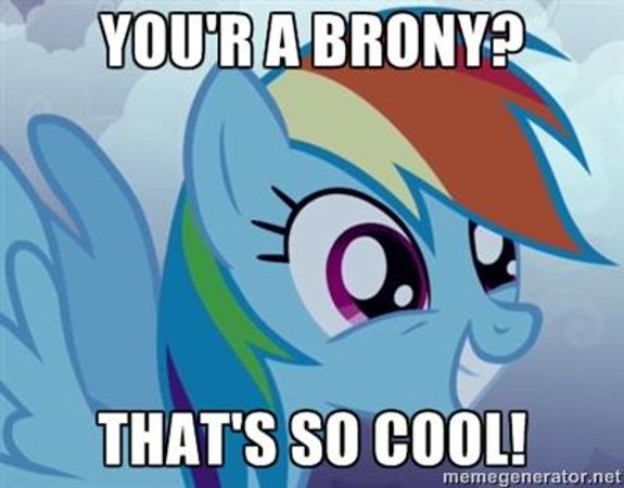 Hi! I'm Stormheart, but you can call me Storm. We've got the main 6 here ready to help you along on your quiz! Rainbowdash: Sup. Fluttershy:... Twilight: Hello! Applejack: Nice to meet yah! Rarity: Hello darling! Pinkiepie: HIII!!