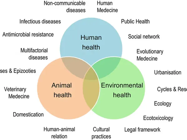 What's your approach to health?