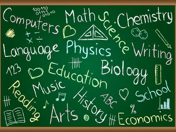 Which of the following subjects do you most like?