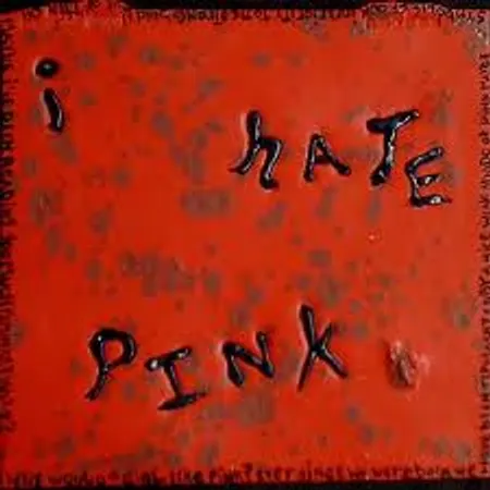 im a girl and i love blue and i hate pink do you think this is weird