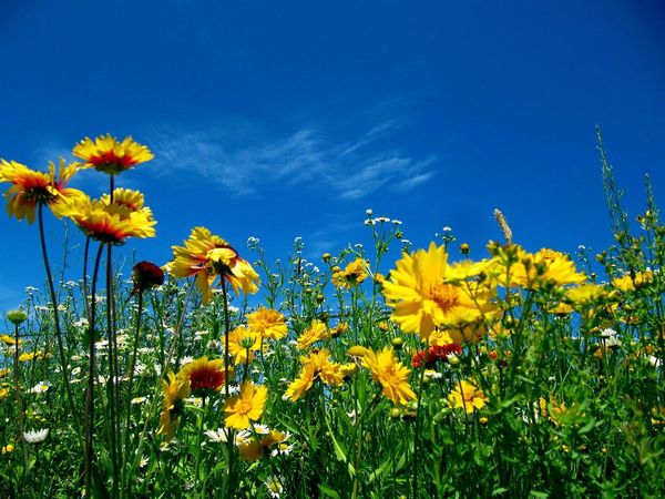 What would your perfect day look like?