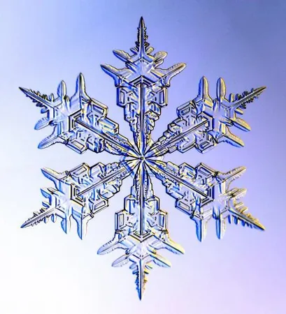 Do you mind the cold?