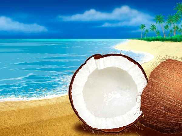 What is your dream vacation?