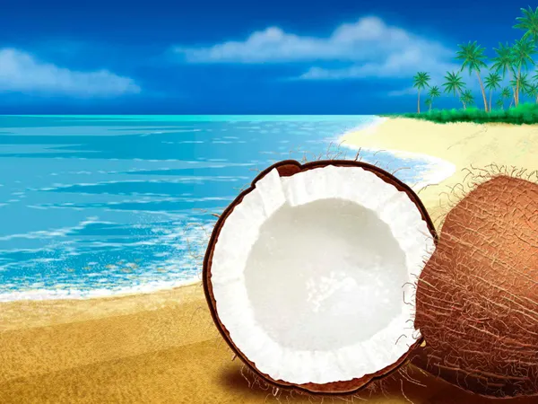 What is your dream vacation?