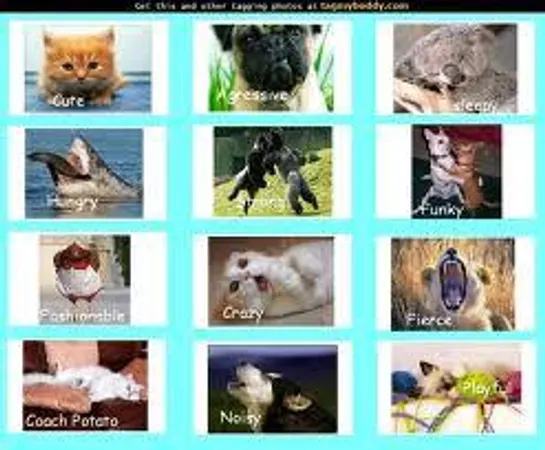 What animal personality do you hope to get?