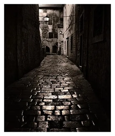 Late at night, walking alone down the street, you hear a peculiar cry that you believe to have a magical source. Do you: