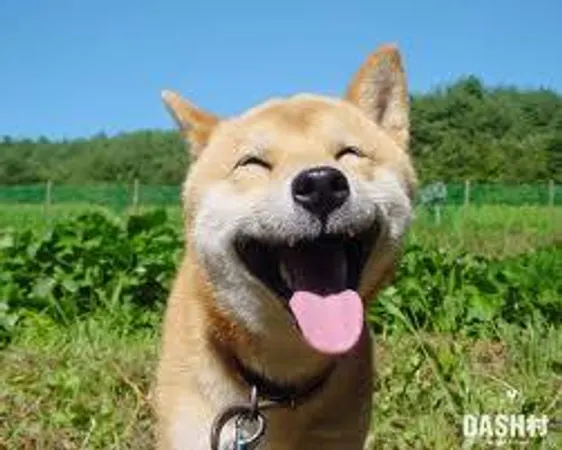 Are you always happy?