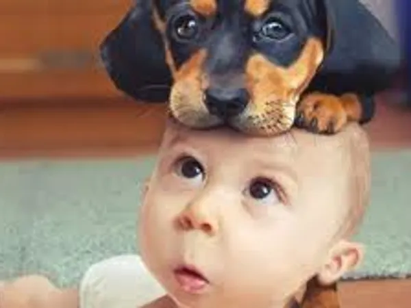 Do you like children?