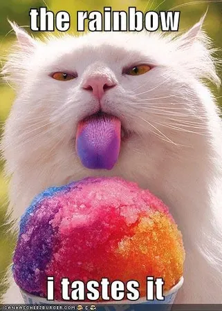 What is your fave color?