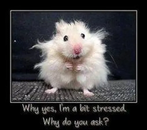 How much do you worry?