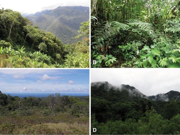 What type of habitat do you prefer?