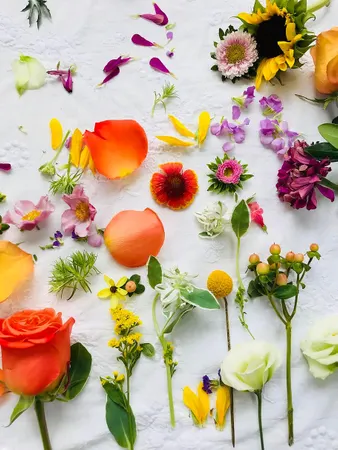 Choose a favorite flower: