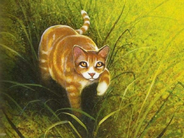 You see a ShadowClan patrol stealing prey. Your leader is away and you are badly outnoumbered. The cats are slowly returning to their territory. You:
