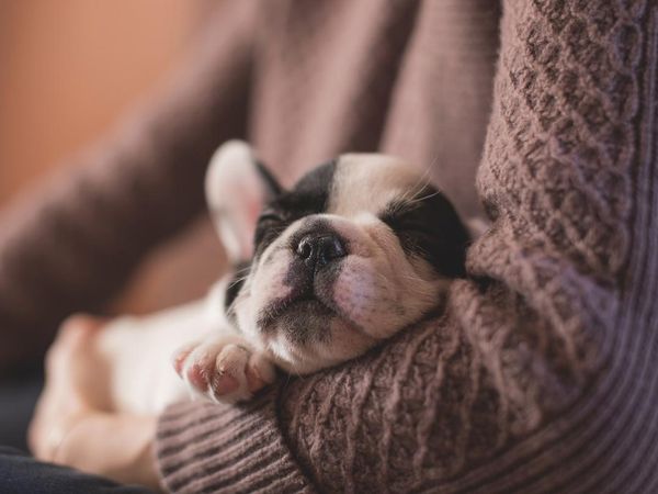 How do you spend quality time with your pet?