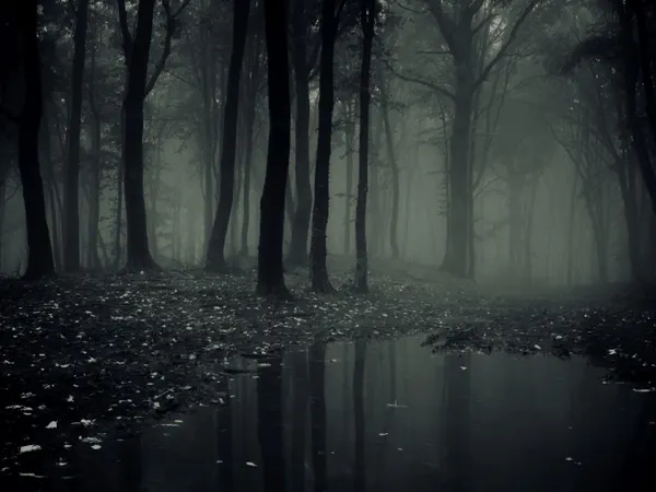 Are you afraid of the dark?